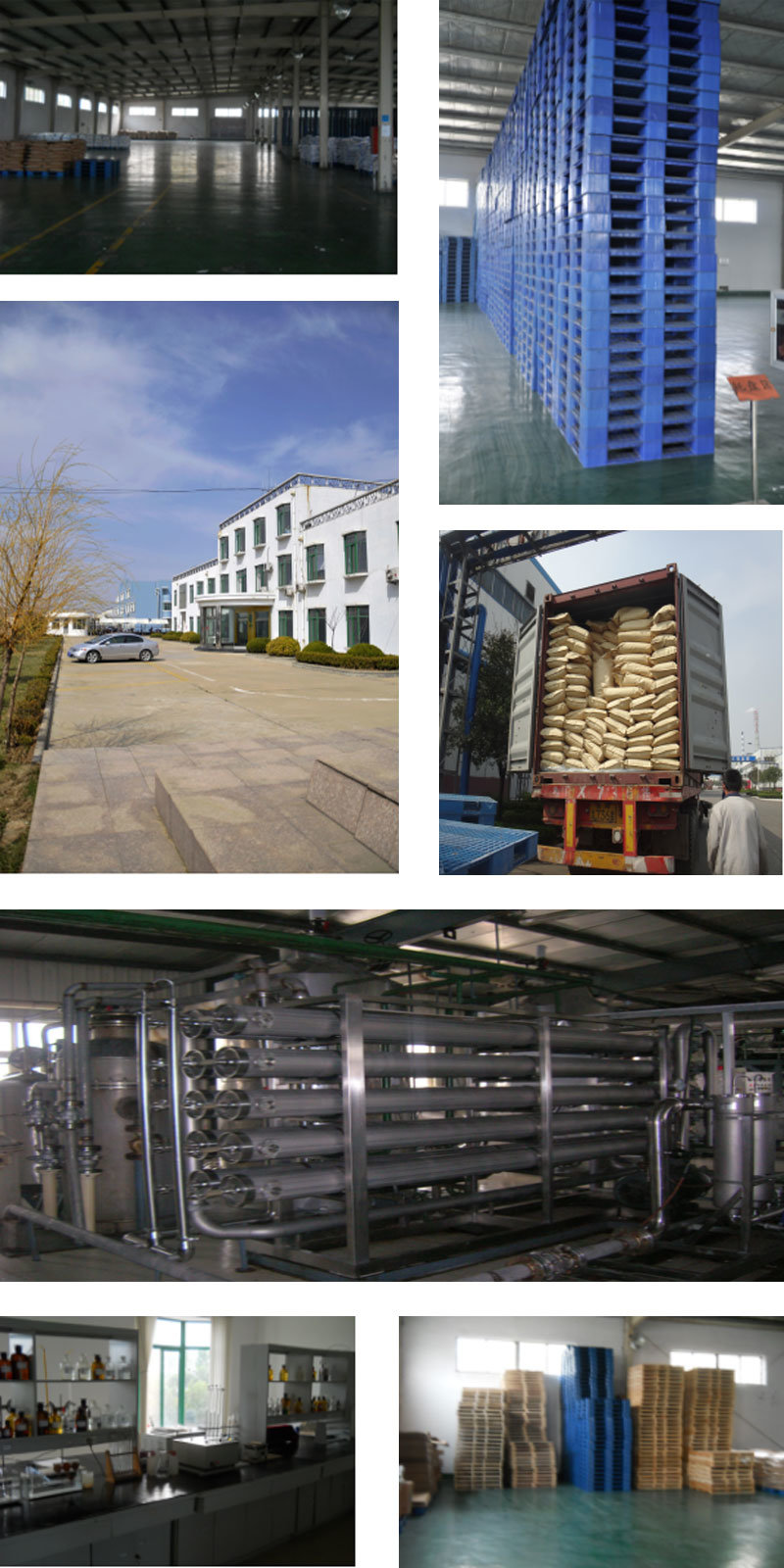 Hot Sale Food Grade Anhydrous Glucose/Dextrose Anhydrous