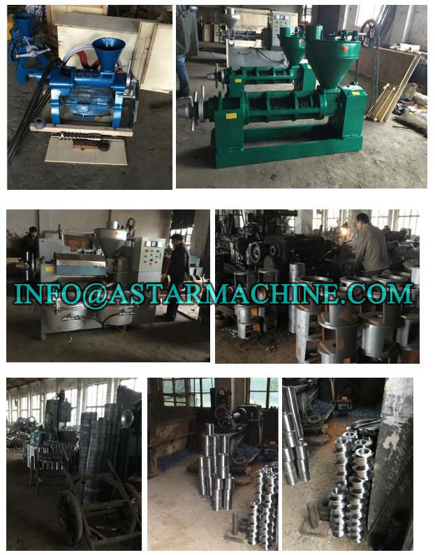 Screw Type Rice Bran Soybean Oil Press