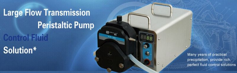 Bt600s Basic Speed Variable Peristaltic Dosing Pump 0.006-2900ml/Min