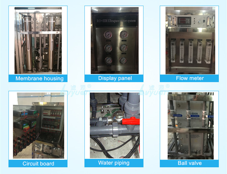 Industrial Pure Drinking Reverse Osmosis 250L 500L 1000L 2000L Water Filter System with EDI RO Water Treatment