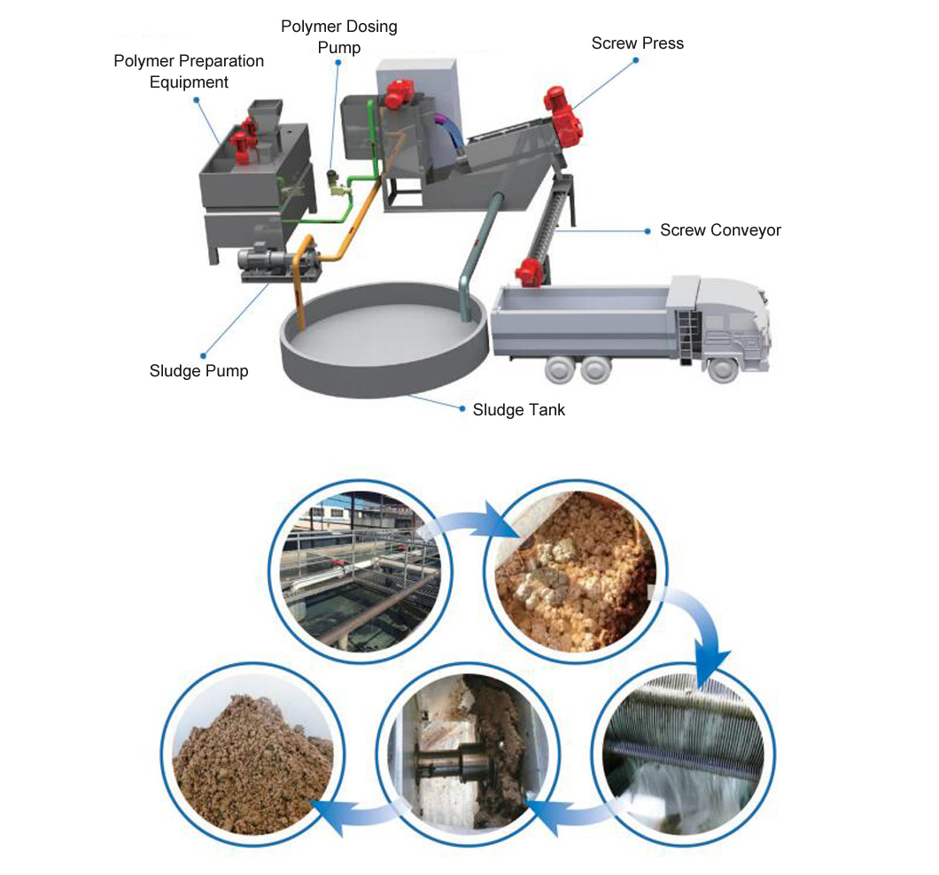 Automatic Screw Press for Printing and Dyeing Wastewater Treatment