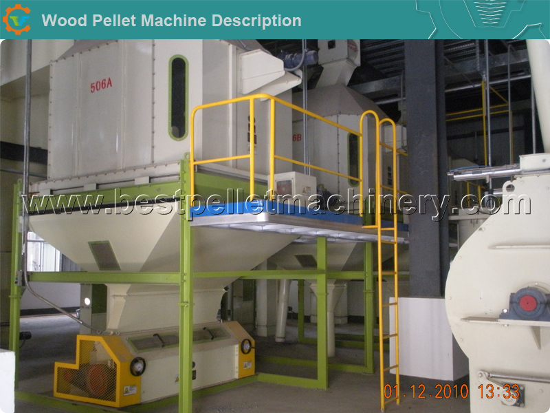 Ce Large Scale Cattle Pellet Feed Production Line