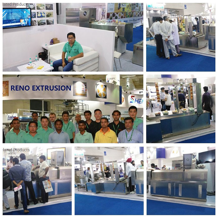 Tilapia Mossambica Feed Extruder Processing Plant in Indonesia