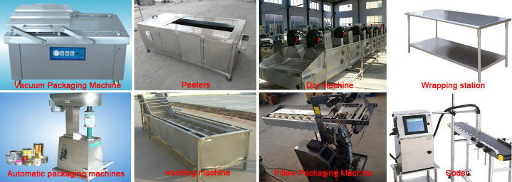 Best Quality Ce Approved Black Garlic Fermenting Machine