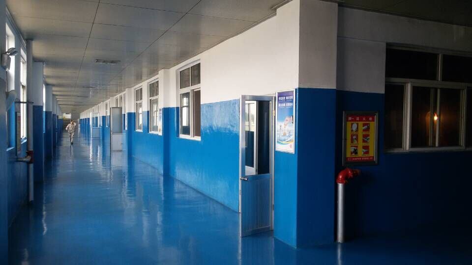 2017 Manufacturer Monohydrate Dextrose 25kg