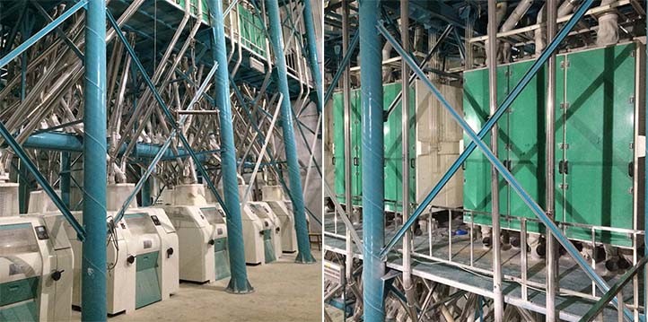 Maize Corn Cone Grinding Wheat Processing Flour Production Plant for Russia