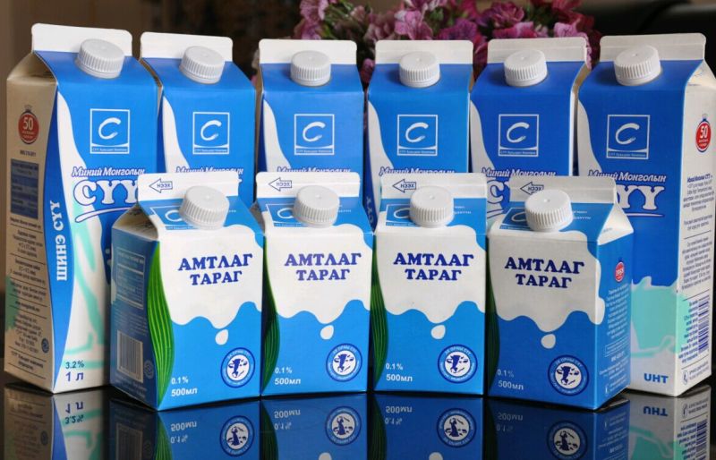 Gable-Top Carton Filling Packing Machine (BW-2500A)