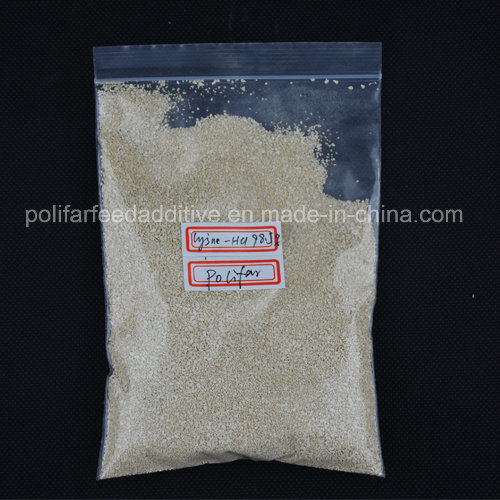 L-Lysine HCl 98.5% Feed Grade Animal Nutrition Poulty Feed Wholesale
