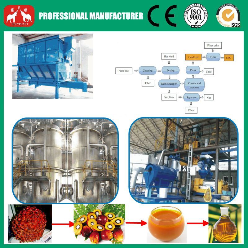 1-20ton/H Grain Processing Machinery Mini Palm Oil Mill Machine