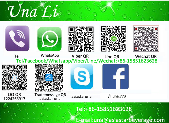 Fully Automatic Pure Water Treatment Equipment RO Purifier System