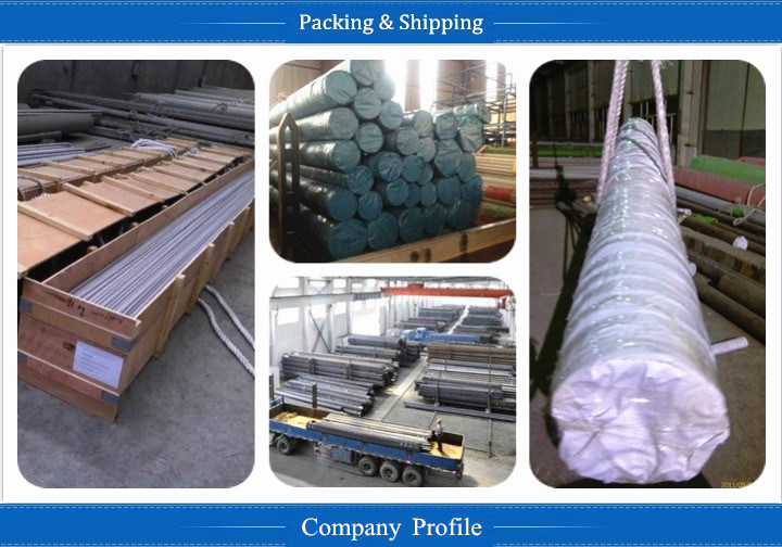 ASTM S31254 Seamless Stainless Steel Pipe (SS EN X1CrNiMoN20-18-7/ 1.4547)