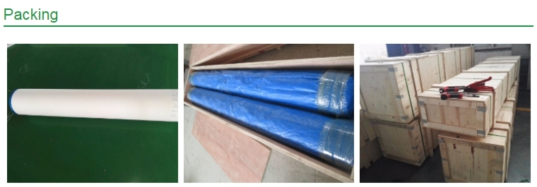 Sludge Dewatering Belt for Waste Water Treatments