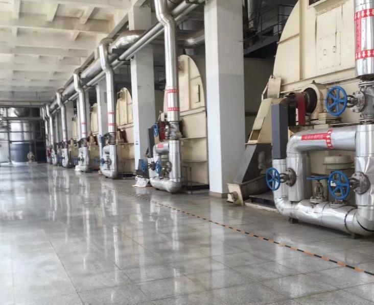 Corn Gluten Meal Corn Protein Meal Hot Sale