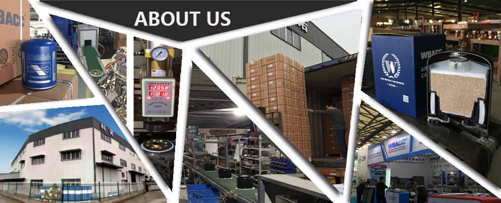 Air Dryer Cartridge Filter for Wabco Volvo Iveco 4324102227