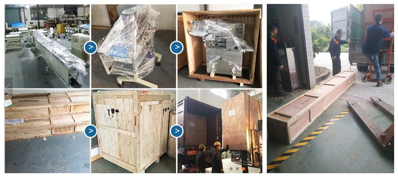 Food Automatic Pillow Type Packing Machine for Bread