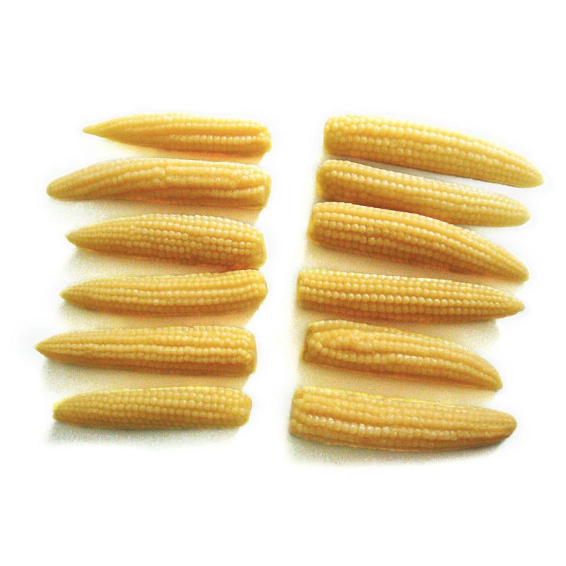Canned Baby Corn Whole with High Quality