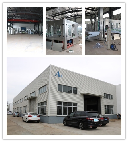 Automatic Carton/Case Packing Machine for Glass or Pet Bottles