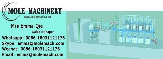 Maize Corn Cone Grinding Wheat Processing Flour Production Plant for Russia