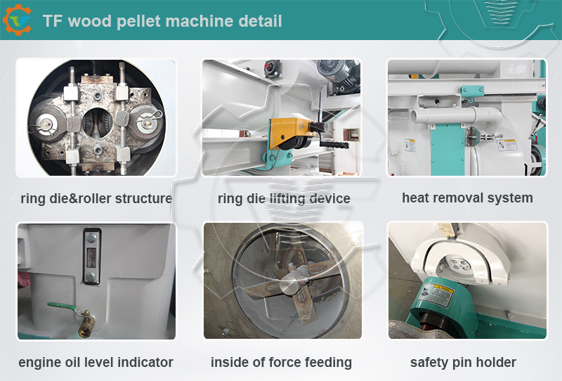 Ring Die Biomass/Wood/Rice Husk/Sawdust Pellet Mill Manufacturers