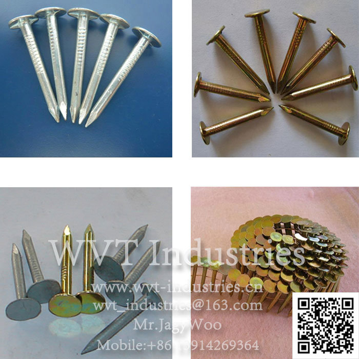 Stainless Steel Nail Making Equipment Machinery Production Line for Length: 2-4