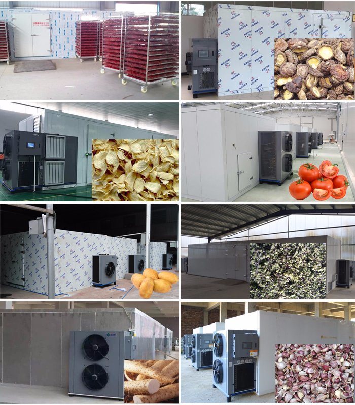 Hot Air Drying Chamber Type Fruit and Vegetable Dryer