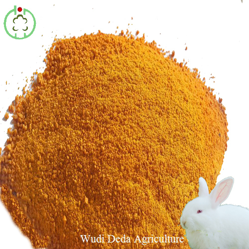 Yellow Feed Grade Corn Gluten Meal 60% Protein Powder