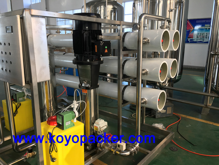 Industrial RO System for Purifi⪞ Ation Water Treatment Plant