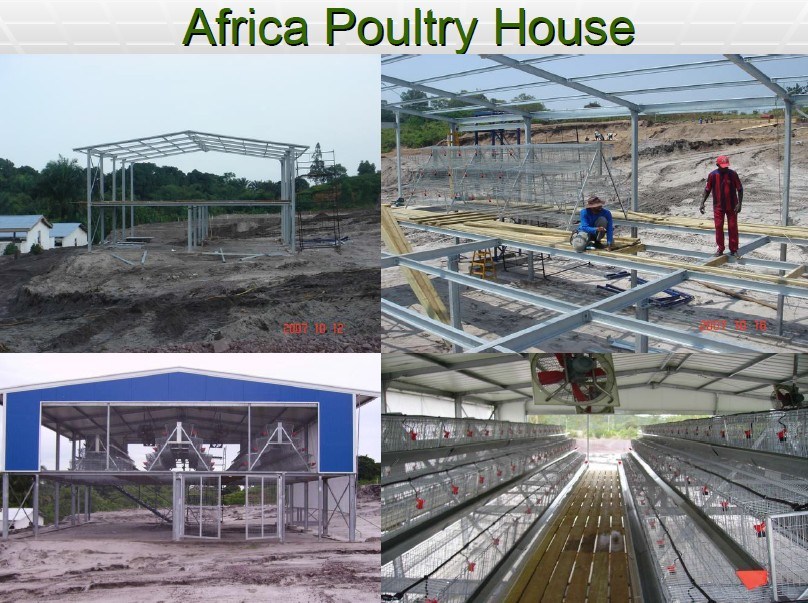 Factory Workshop and Warehouse Steel Structure