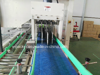 Automatic Carton Filling Machine for Oil Products Packing (V-PAK WJ-SZX-18)