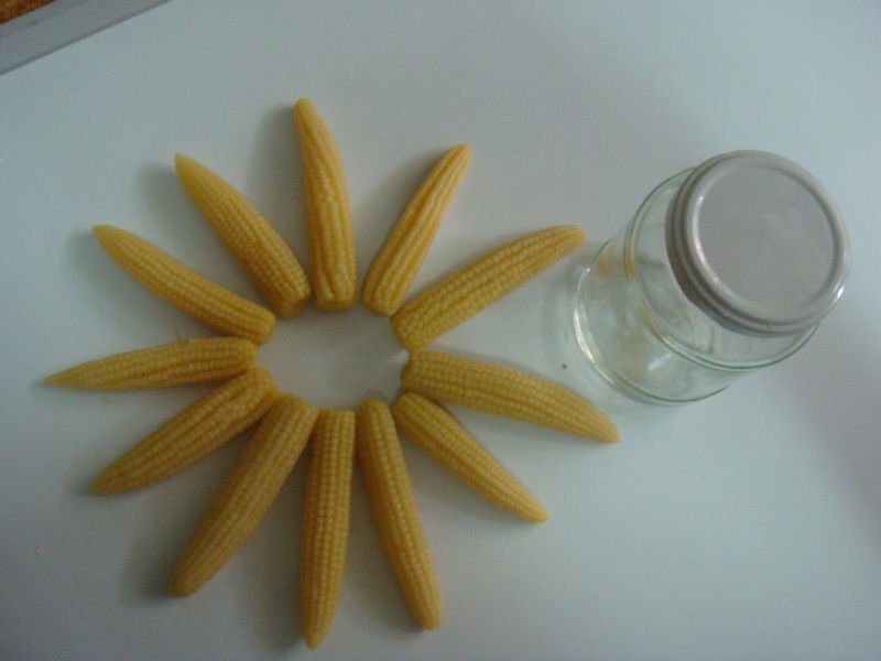 2017 Crop Canned Baby Corn