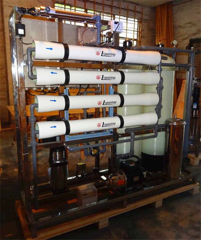 1000lph Water Reverse Osimosis System/Water Treatment Equipment/Water Treatment Plant