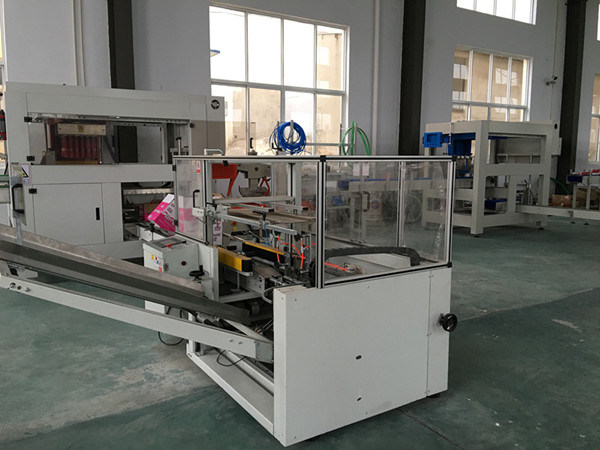 Automatic Carton/Case Packing Machine for Glass or Pet Bottles