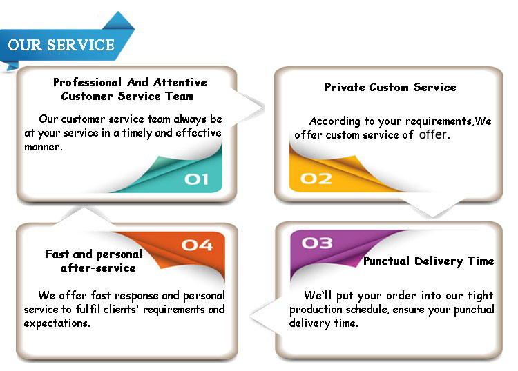 Choch High Pressure Water Pump (DPH80LE)