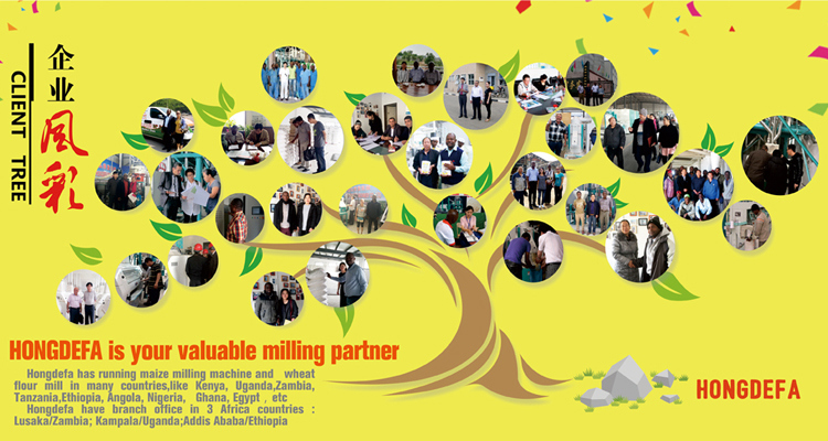 Maize Milling Plant with 20t Per Day Production Line