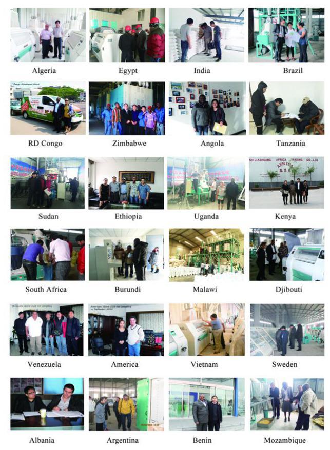 Africa Running Small Scale Maize Milling Equipment