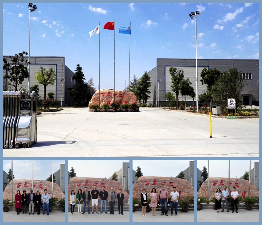 Szlh320 Ring Die Poultry and Livestock Pellet Press