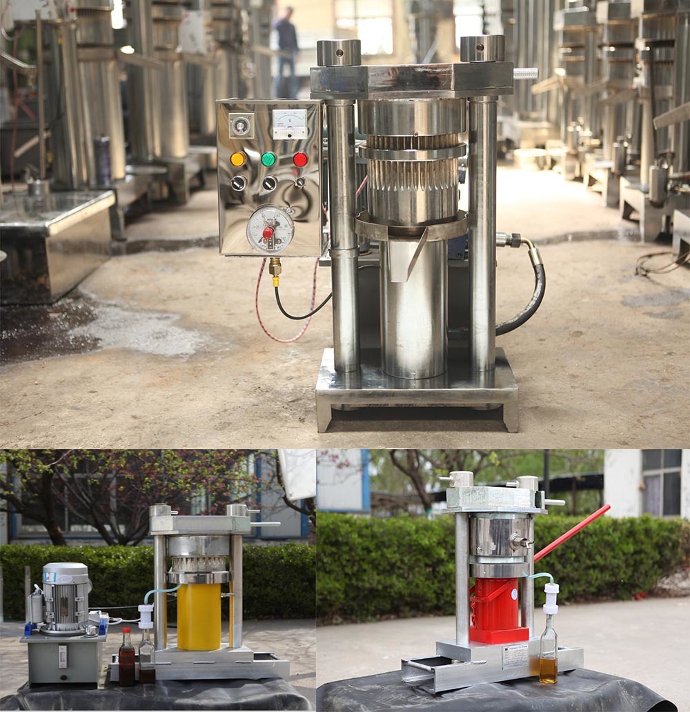Automatic Sesame Oil Making Machine Hydraulic Oil Press and Hydraulic Cocoa Oil Squeezer for Cold Pressing  Machine