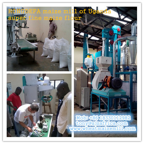 Uganda 30 Ton Per Day Ugali Maize Flour Machine