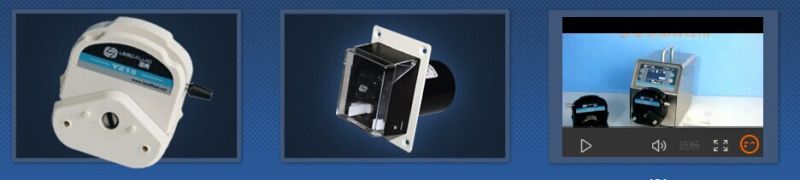 Bt600s Basic Speed Variable Peristaltic Dosing Pump 0.006-2900ml/Min