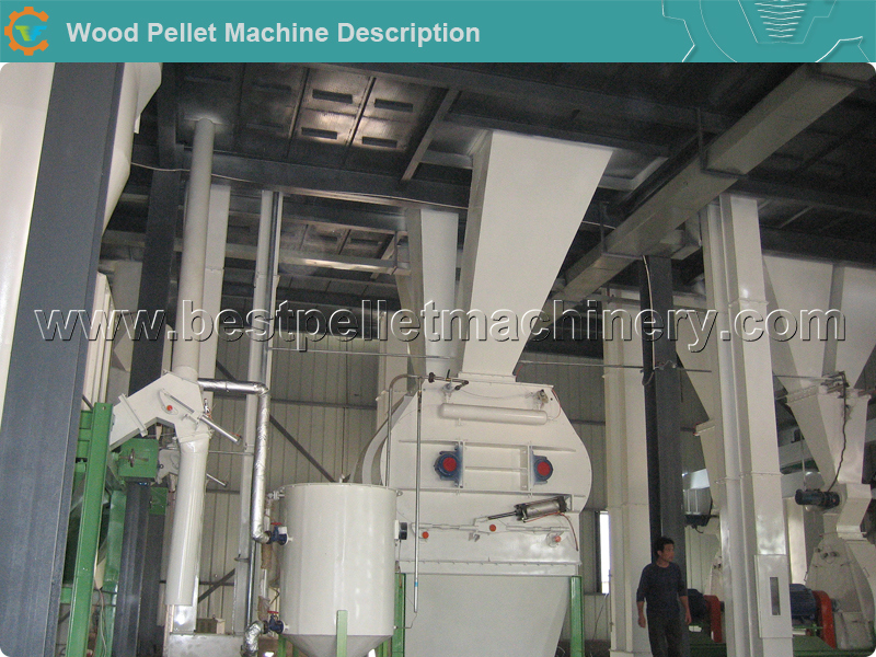 Chicken/Cattle/Fish Animal Feed Pellet Production Line