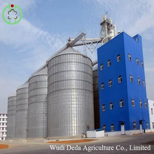 Lysine Feed Additives Livestocks Feed