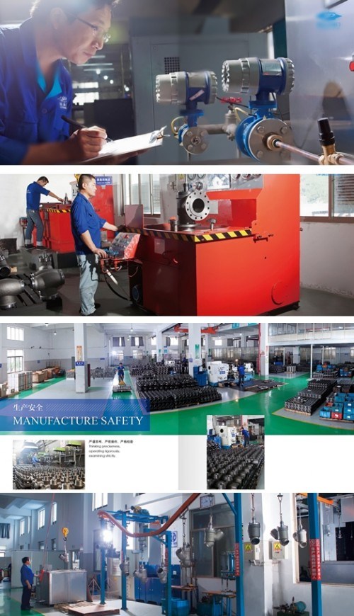 Cast Steel Valve with Ammonia Cooling