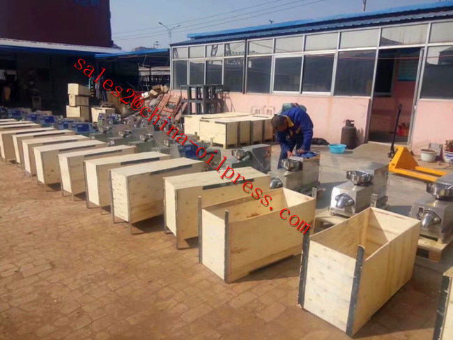 High Yield Pine Nut Spiral Oil Press Machine