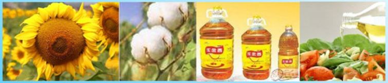 Commercial Production Automatic Edible Screw Seed Oil Press From China