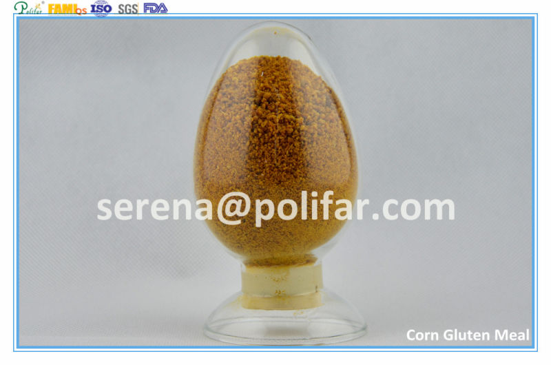Fami-QS/SGS/ISO Approved Corn Gluten Meal 60% for Animal Feed Additives
