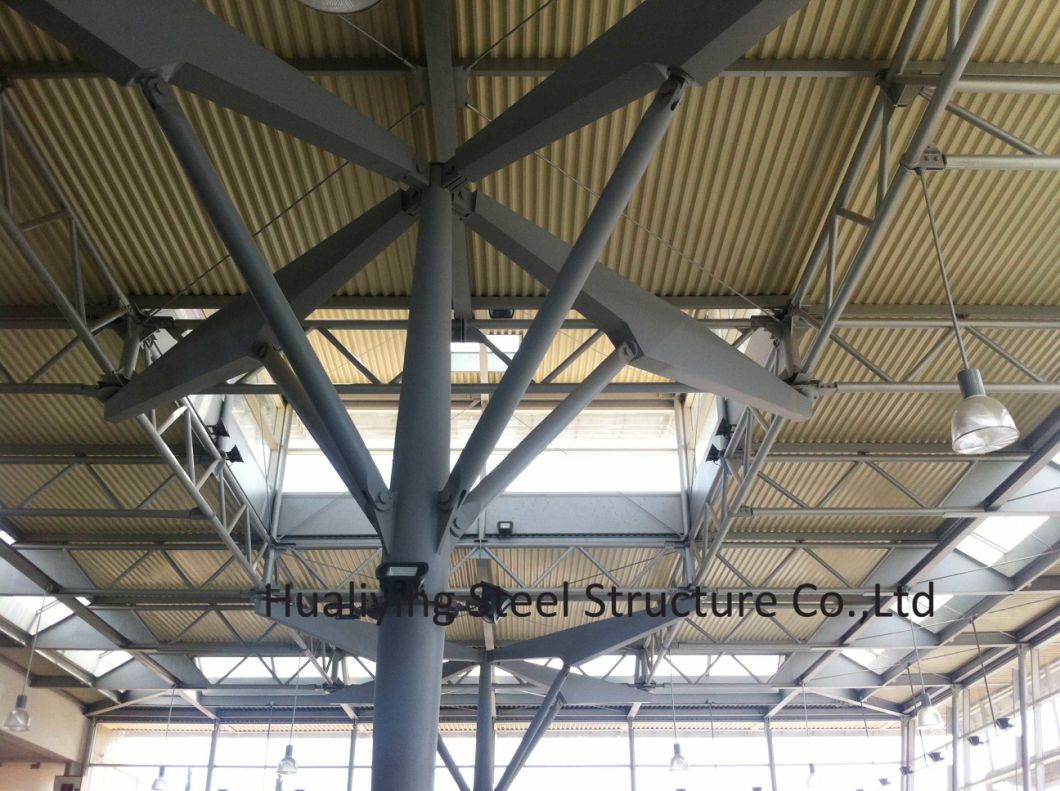 Beautiful Steel Structure Construction Building with Big Span
