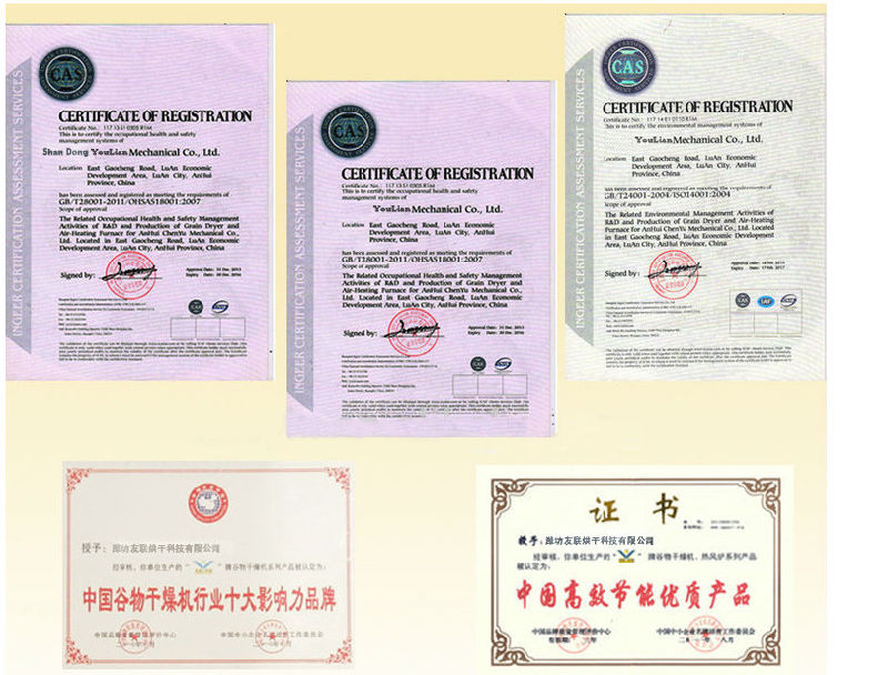 Rice Mill Color Sorting Machine/Grain Color Sorting Machine