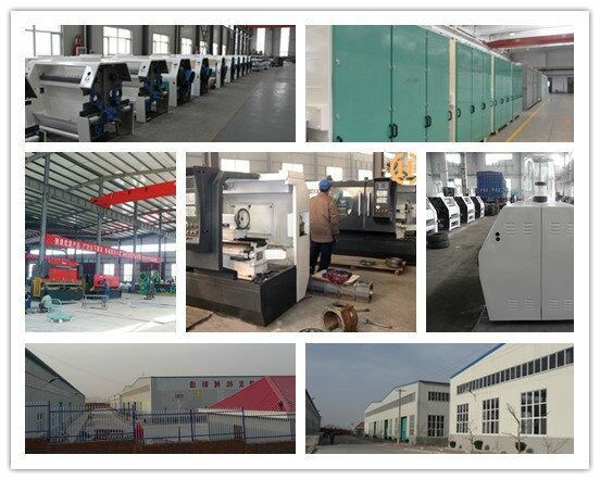 Africa Running Small Scale Maize Milling Equipment