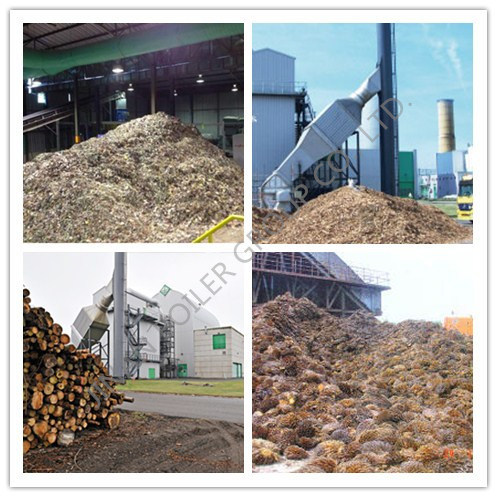 ASME/Ce 130 T/H Stepped+Travelling Grate Biomass Boiler for Power Plant