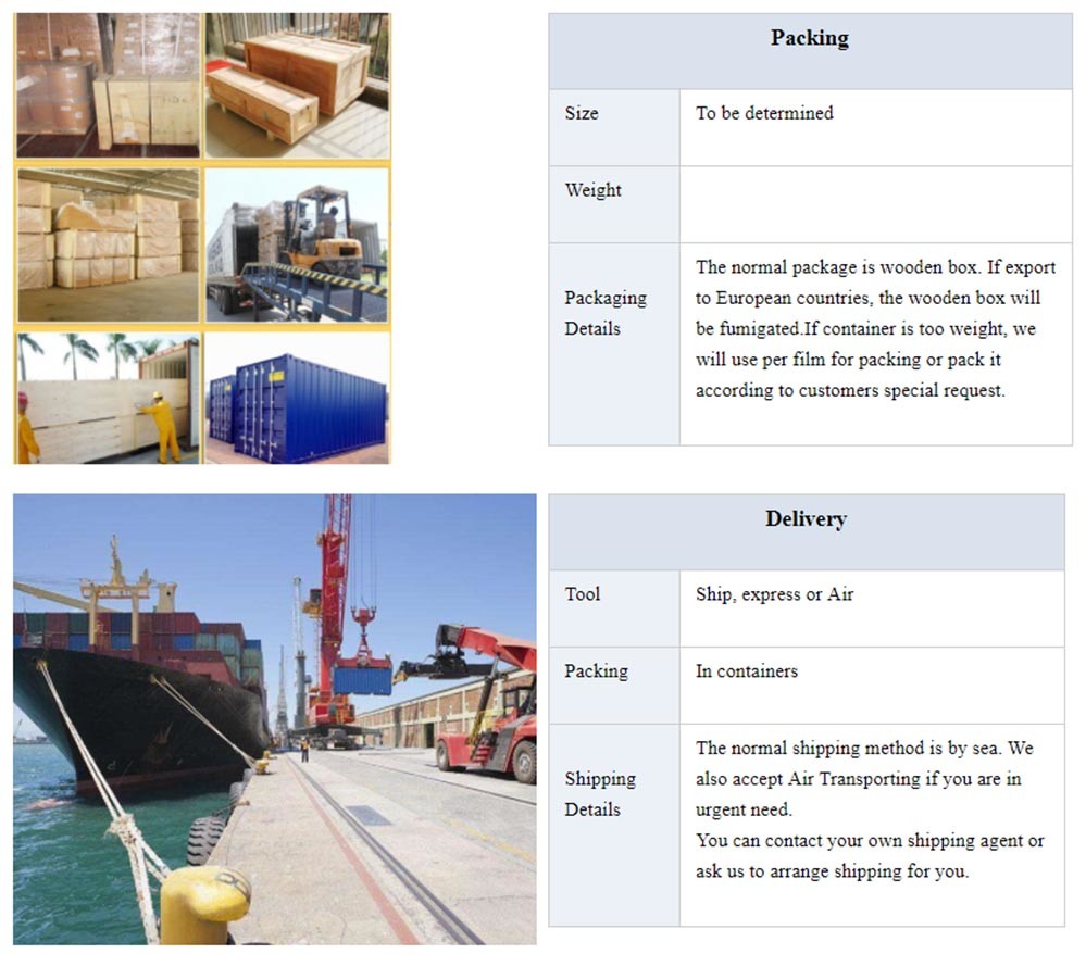 Automatic Sesame Oil Making Machine Hydraulic Oil Press and Hydraulic Cocoa Oil Squeezer for Cold Pressing  Machine